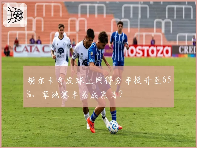 胡尔卡奇发球上网得分率提升至65%,草地赛季或成黑马?