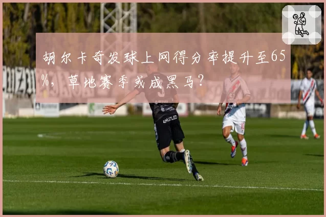 胡尔卡奇发球上网得分率提升至65%，草地赛季或成黑马？